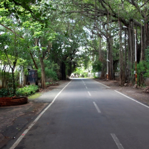 Koregaon Park Photo