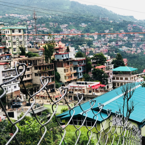 Solan Photo
