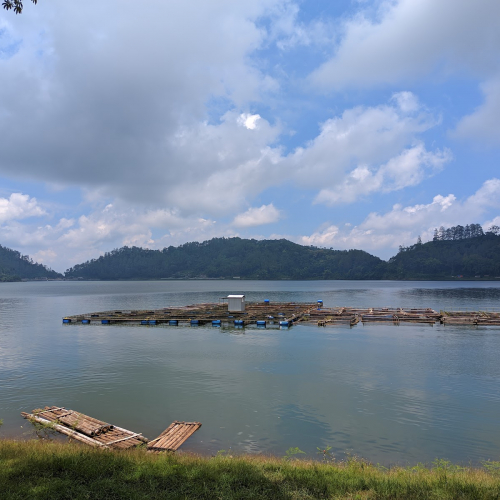 Ponorogo Photo