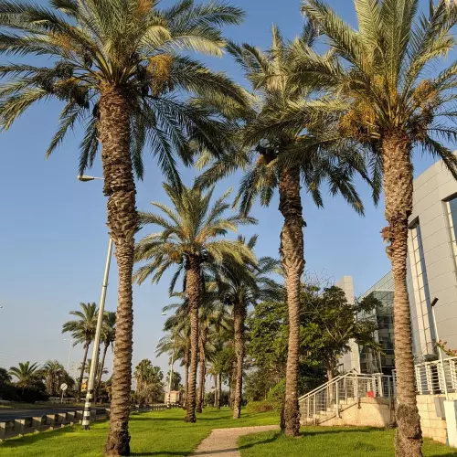 Herzliya Photo
