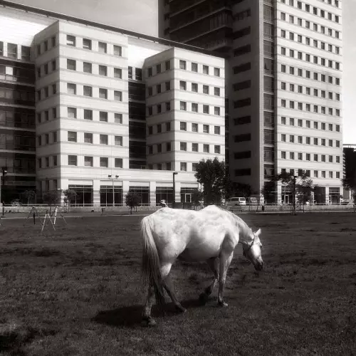 Ramat Hachayal Photo