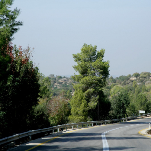 Srigim Photo
