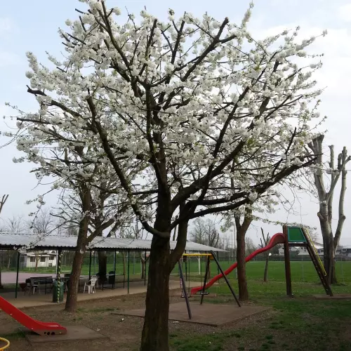 Casarile Photo