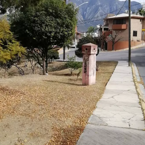Col. Del Paseo Photo