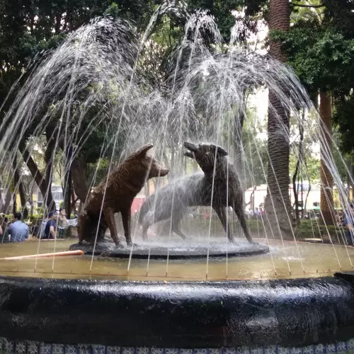 Coyoacán Photo
