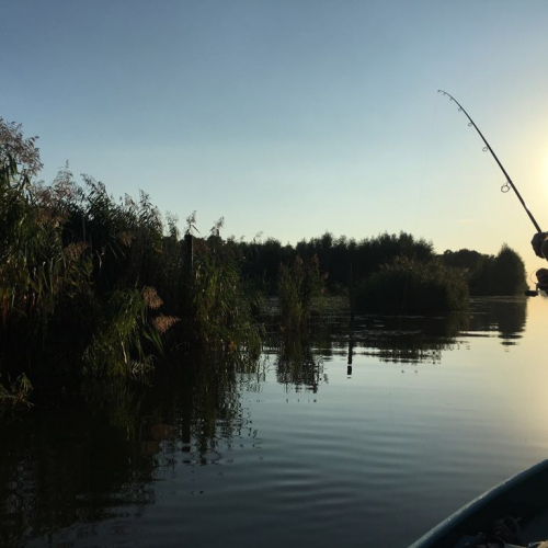 Dronten Photo