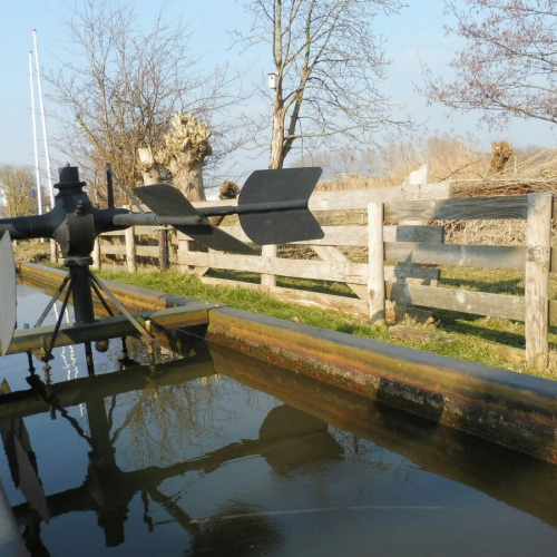 Wormer Photo