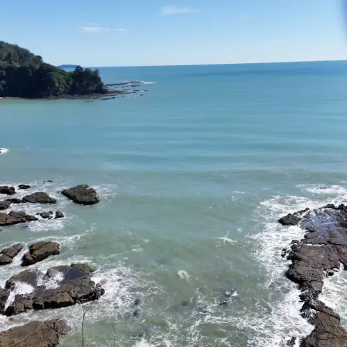 Bay of Plenty Photo