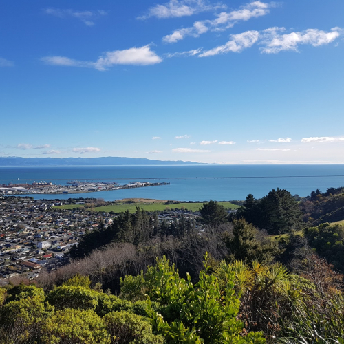 Nelson City Photo