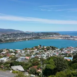 Wellington Photo