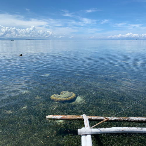 Lapu-Lapu Photo