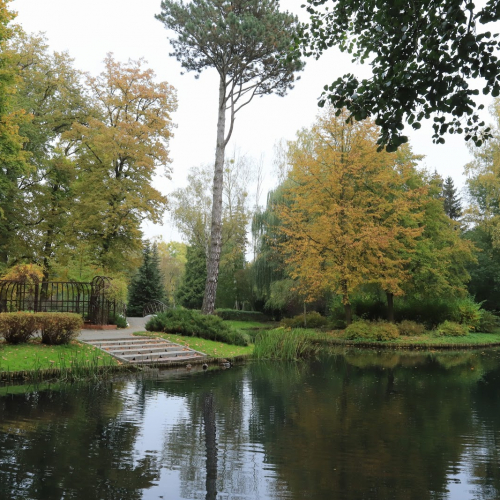 Piła Photo