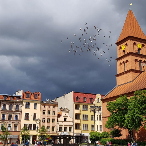 Toruń Photo