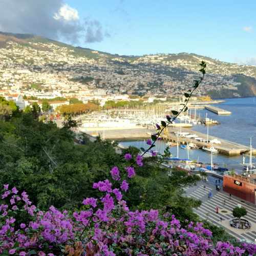 Funchal Photo