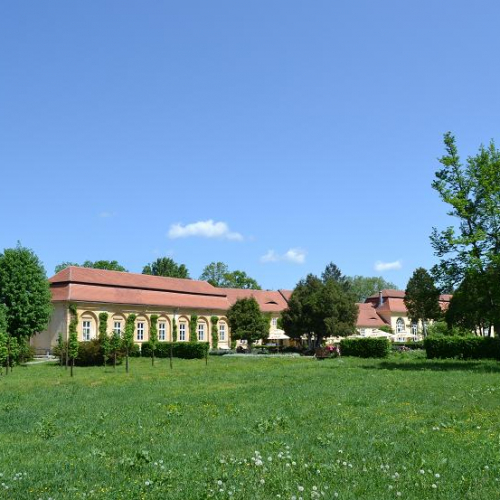 Avrig Photo