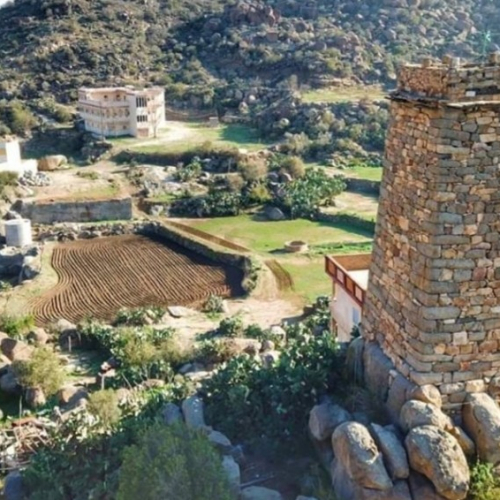 Taif Photo