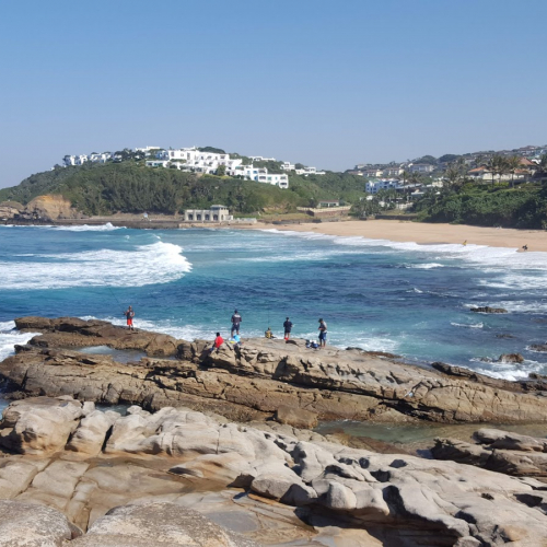 Dolphin Coast Photo