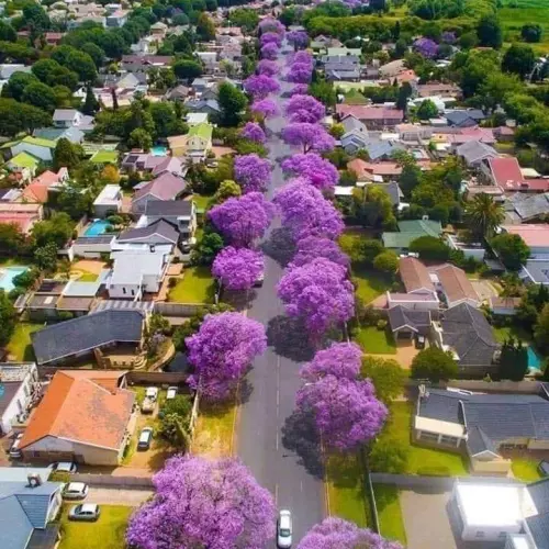 Johannesburg Photo
