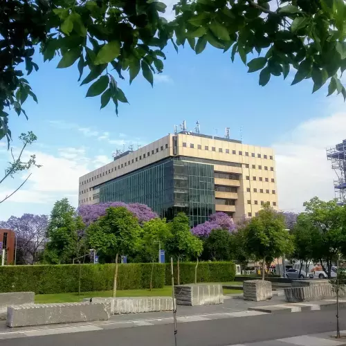 Rosebank Photo