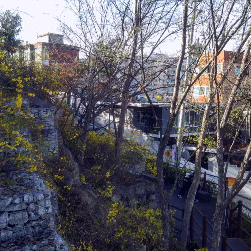 Seongdong-gu Photo