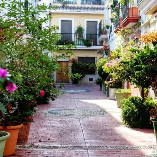 Estepona Photo