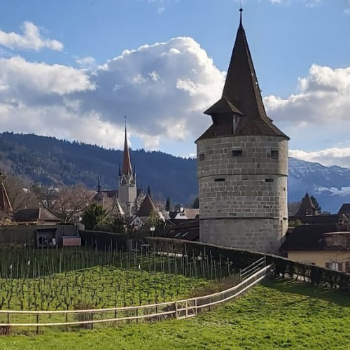 Zug Photo