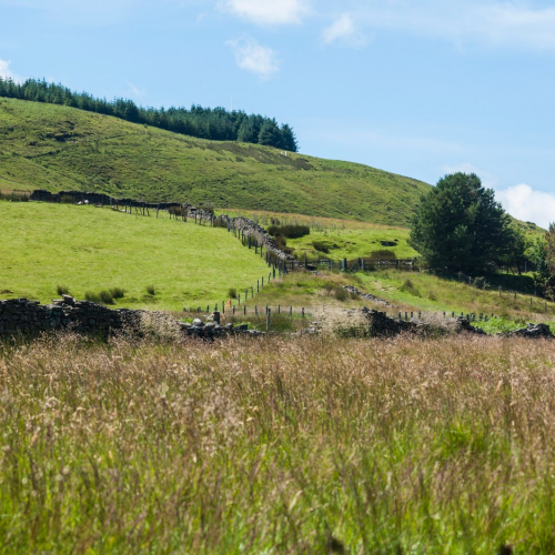 Aberdare Photo