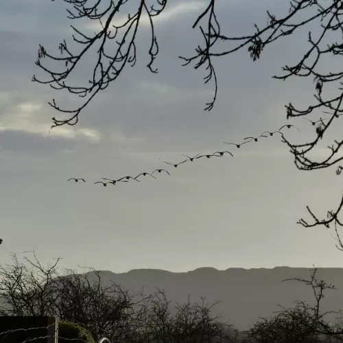 Altham Photo