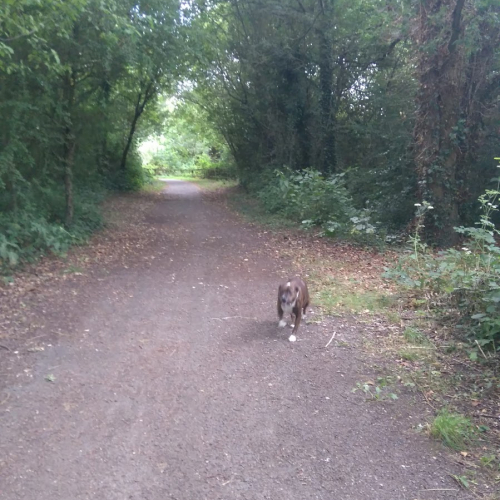 Ash Vale, Aldershot Photo