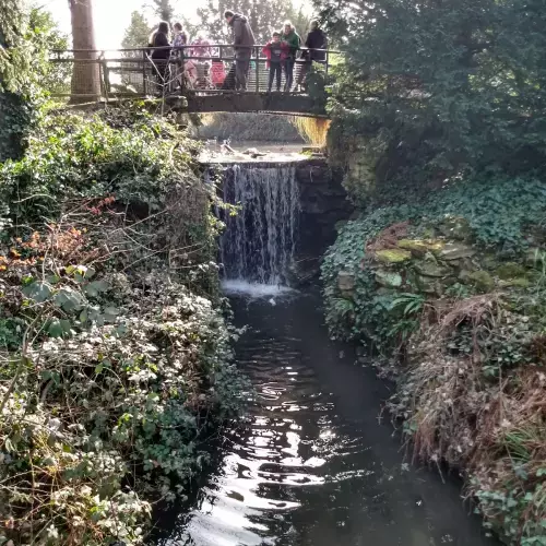 Beckenham Photo