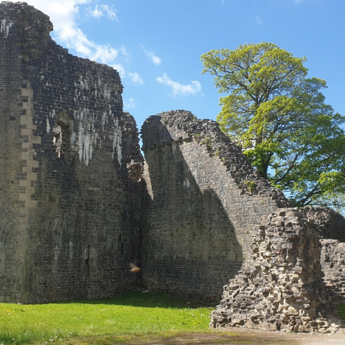 Cowbridge Photo
