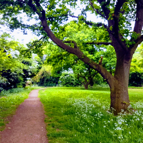 Harlington Photo