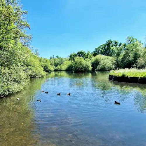 Headley Down Photo