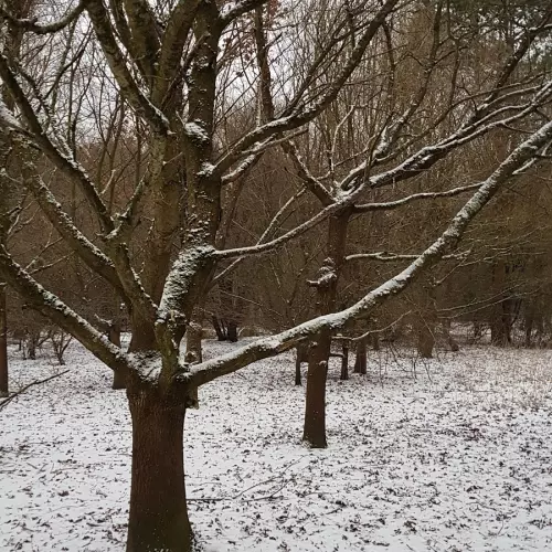 Hurstpierpoint Photo