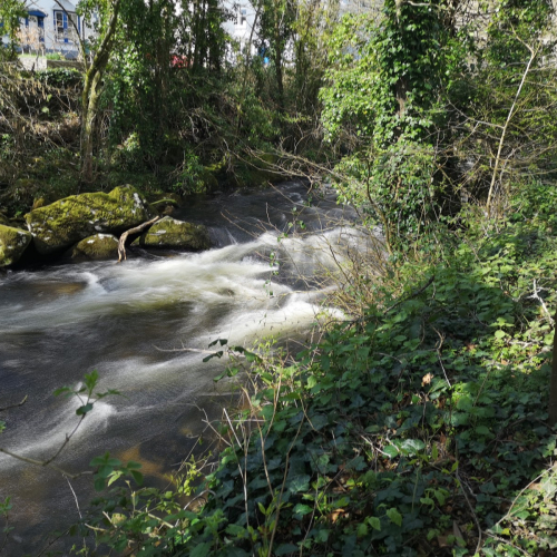 Ivybridge, Devon Photo