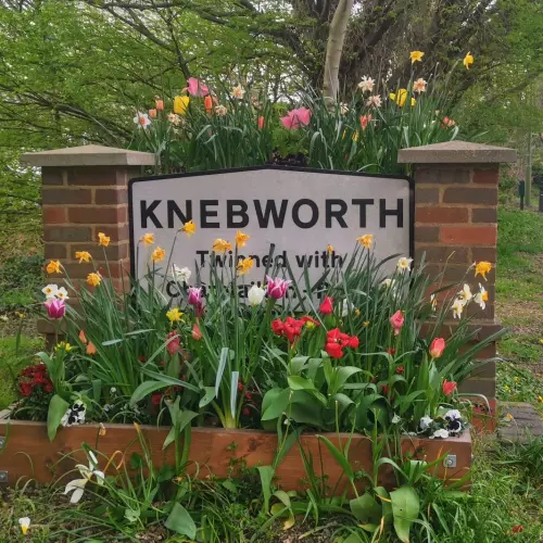 Knebworth Photo