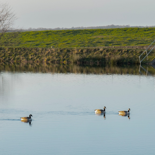Longridge Photo