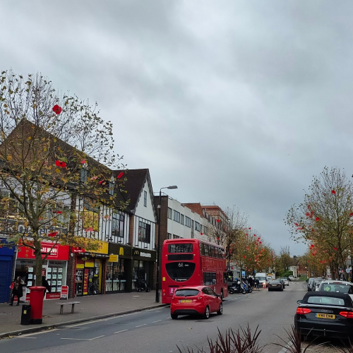 Orpington Photo