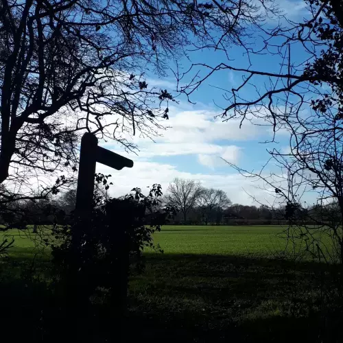 Tadley Photo