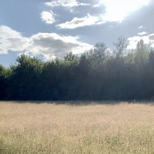 Thundersley Essex Photo