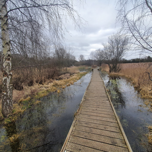 Whittlese Photo