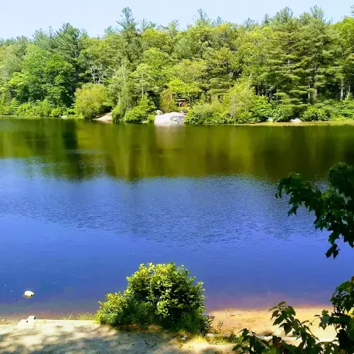 Abington Photo