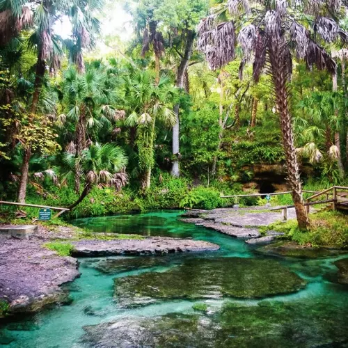 Apopka Photo