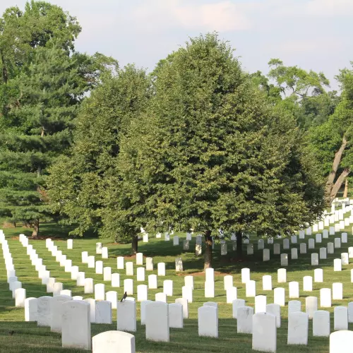 Arlington Photo