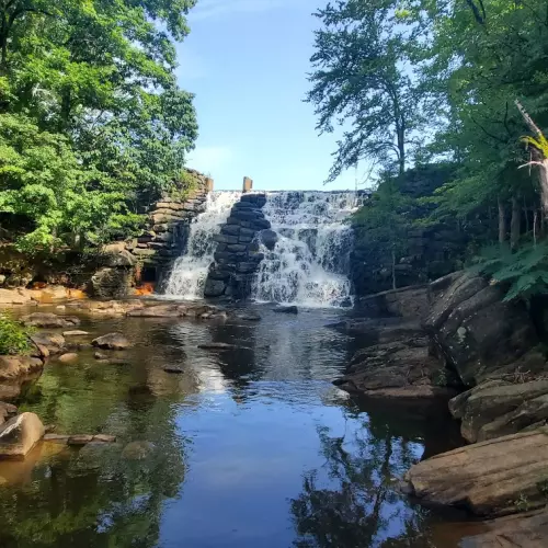 Auburn Photo
