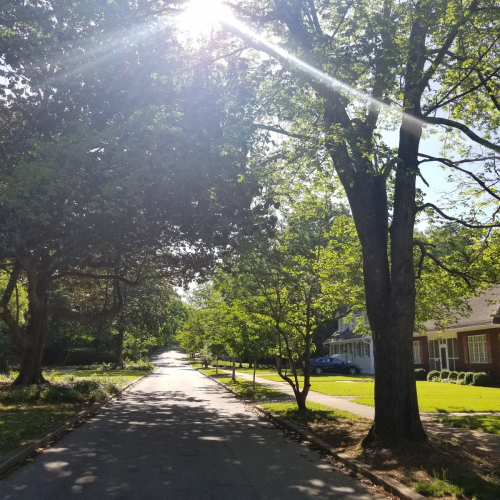 Avondale Estates Photo