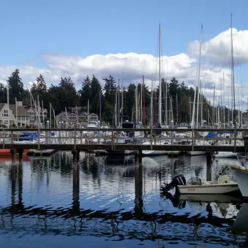 Bainbridge Island Photo