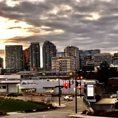 Bellevue Photo