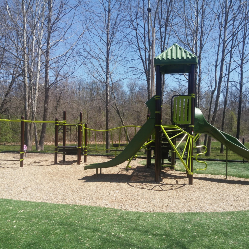 Blacklick Photo