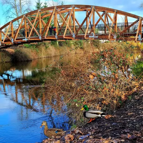 Bothell Photo